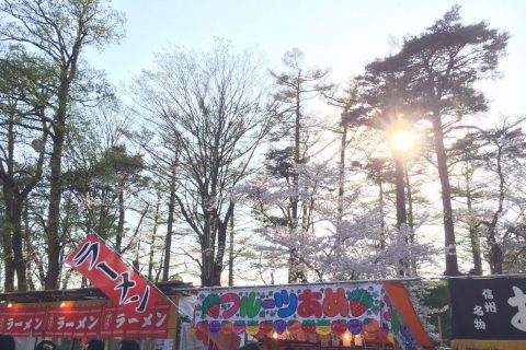 上越市 高田城観桜会