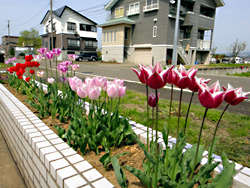 どれも皆、超・超・超可愛いです！